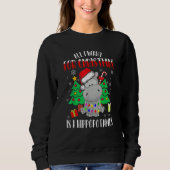 Sweatshirt All I Want For Christmas Is A Hippopotamus Buffalo (Devant)