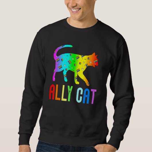 Sweatshirt Ally Chat Rainbow Lunettes de soleil Lgbt Gay Lesb (Devant)
