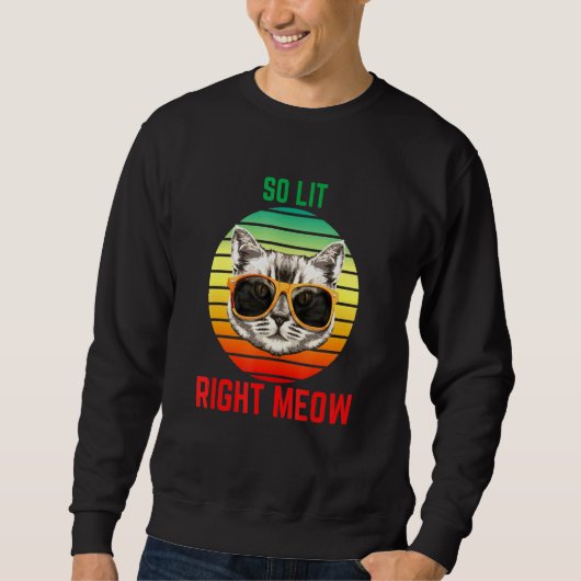 Sweatshirt Alors Lit Right Meow EDM Techno DJ Rave Party Fest (Devant)