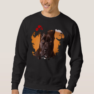 Sweatshirt American Pitbull Terrier Ink Splatz mignon regarde