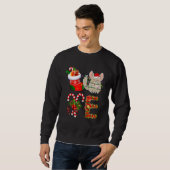 Sweatshirt Amour Chinchilla lumières de Noël Dirigé Santa Hat (Devant entier)