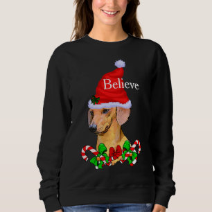 Sweatshirt Amoureux de Dachshund Noël Joyeux