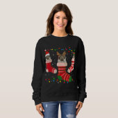 Sweatshirt Amusants Maine Coon Stocker Noël Chaussettes de No (Devant entier)