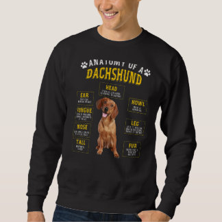 Sweatshirt Anatomie Dachshund Pour Femmes Hommes