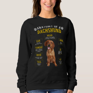 Sweatshirt Anatomie Dachshund Pour Femmes Hommes