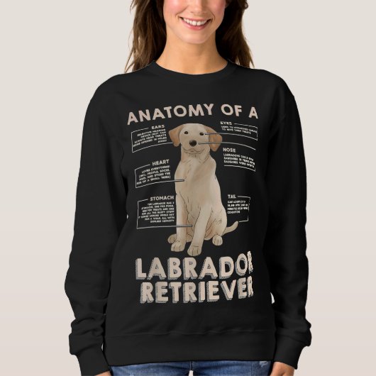 Sweatshirt Anatomie D'Un Labrador Retriever Idées Pour (Devant)