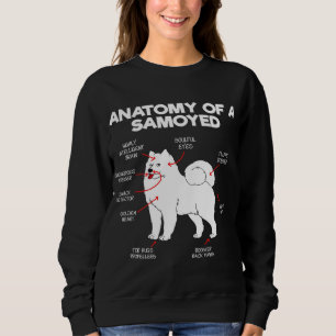 Sweatshirt Anatomie Samoyed Chien Chien Amoureux des chiens C