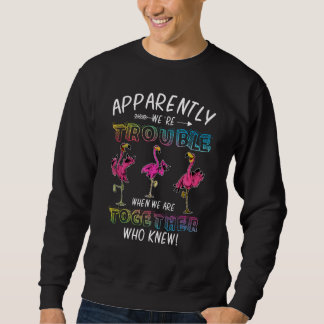 Sweatshirt Apparemment, nous avons du mal quand nous sommes e