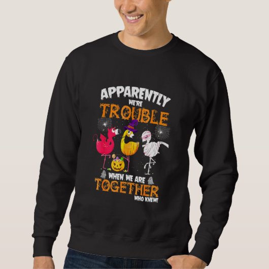 Sweatshirt Apparemment Nous Avons Été Difficiles Quand Nous A (Devant)