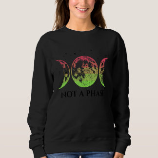 Sweatshirt Aroflux Pride Flag Not A Phase Aroflux Flag