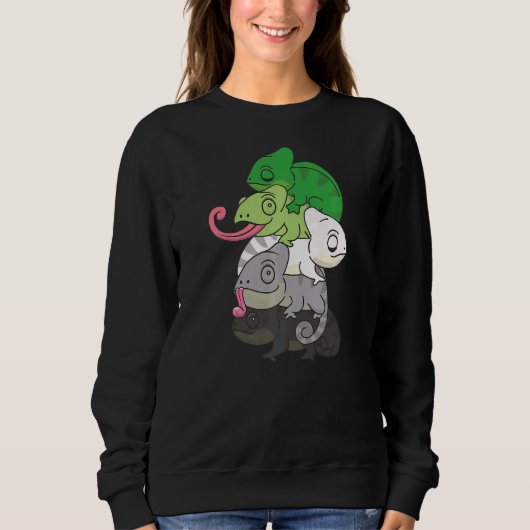 Sweatshirt Aromantic Drapeau Genre Fierté Lgbtq Chameleon (Devant)