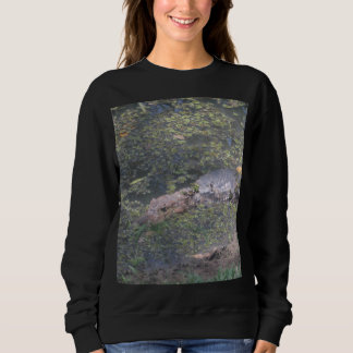 Sweatshirt Bébé Crocodile En Amérique Du Sud