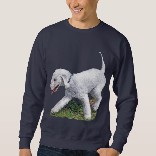 Sweatshirt Bedlington Terrier (Devant)