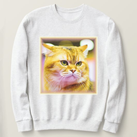 Sweatshirt Belle photo d'un mignon chat. Commandez dès mainte (Design devant)