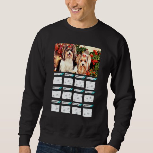 Sweatshirt Biewer Terrier Puppies Calendar 2023 (Devant)