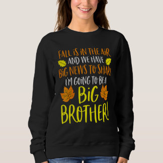 Sweatshirt Big Brother Fall Pregnancy Announcemen Autumn Baby