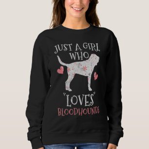 Sweatshirt Bloodhound Vintage