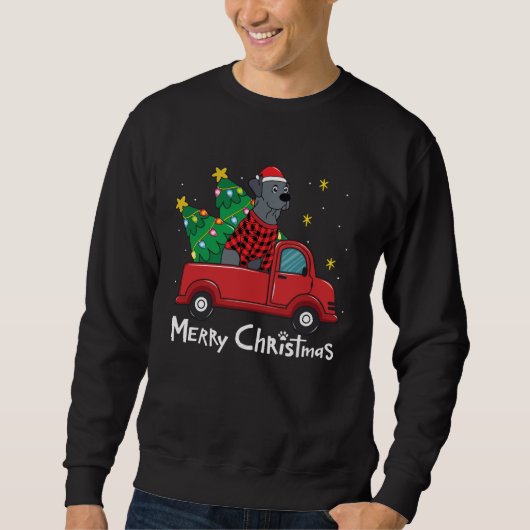 Sweatshirt Blue Lace Christmas Truck Blue Lacy (Devant)