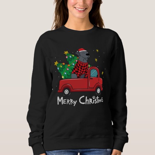 Sweatshirt Blue Lace Christmas  Truck  Blue Lacy (Devant)