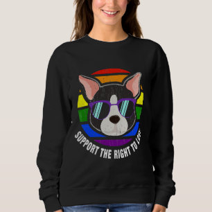 Sweatshirt Boston Terrier Gay Rainbow Flag Sunset Lgbt Pride
