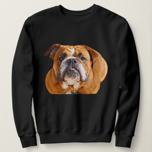 Sweatshirt Bulldog Face - Bulldog anglais, Brown (Design devant)