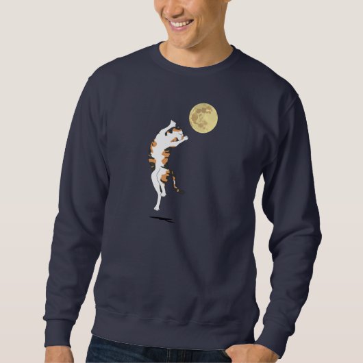 Sweatshirt Calico Cat Moon Danse (Devant)