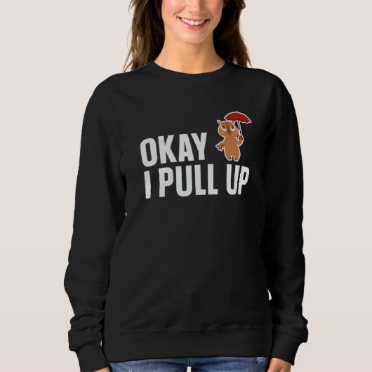Sweatshirt Capybara Ok I Pull Up Capybara (Devant)