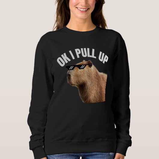 Sweatshirt Capybara OK I Pull Up Rodent Animal Respect Joke (Devant)