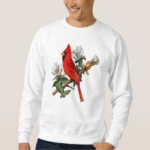 Sweatshirt Cardinal Rouge Du Nord Sur Un Cardinal De Branche