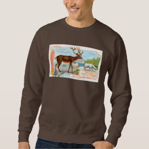 Sweatshirt Caribou vintage (rennes) et renard arctique