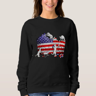 Sweatshirt Cat 4th of July