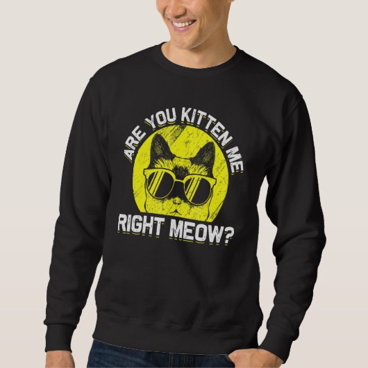 Sweatshirt Cat Lunettes de soleil Humour Joke Teller Humour (Devant)