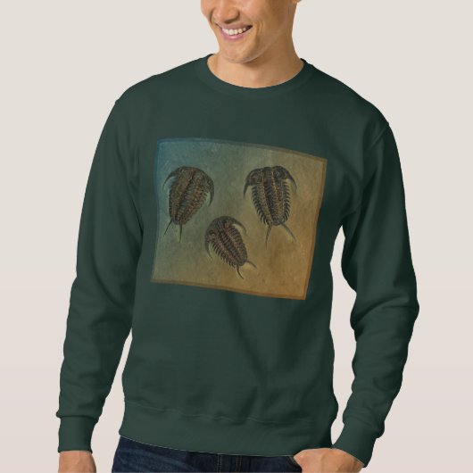 Sweatshirt Ceraurus et Leviceraurus (Devant)