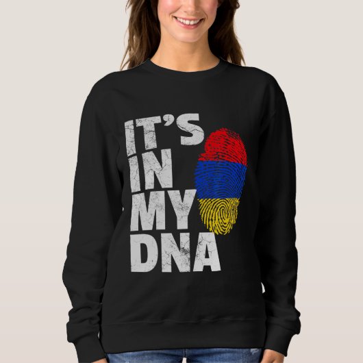 Sweatshirt C'Est Dans Mon Adna Arménie Flag Pride National (Devant)