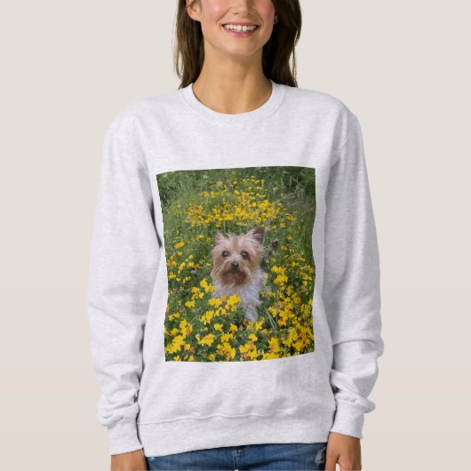 Sweatshirt champ de Yorkshire Terrier (Devant)