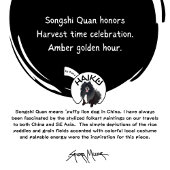 Sweatshirt Chandails SONGSHI QUAN chow