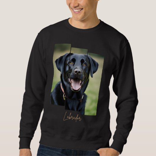 Sweatshirt Charming Labrador Retriever Portrait - Triptych Ar (Devant)