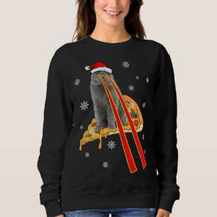 Sweatshirt Chat Avec Yeux Laser Drôle Pizza Chat Noël