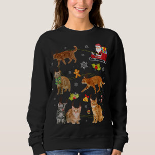Sweatshirt Chat Noël Arbre Chat Santa Hat Lights Noël Cadeau