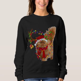 Sweatshirt Chat Perse Superbe renne Arbre de Noël Lumière