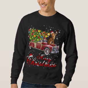 Sweatshirt Chats Rides Camion Rouge Pajama de Noël