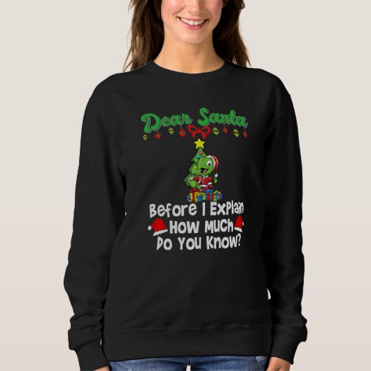 Sweatshirt Cher Père Noël avant que j'explique combien savez- (Devant)
