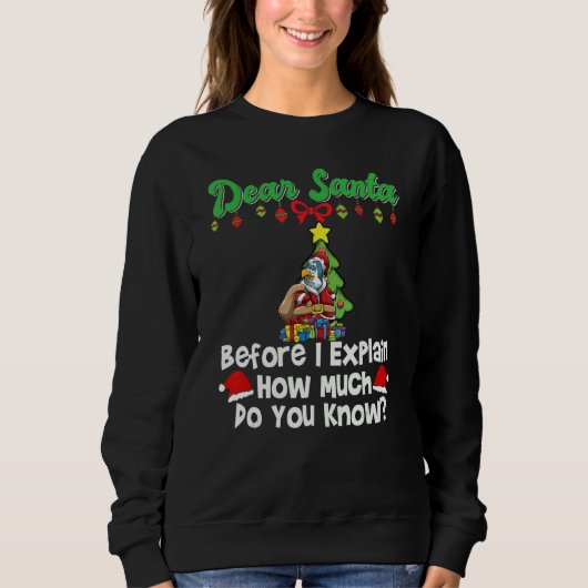 Sweatshirt Cher Père Noël avant que j'explique combien savez- (Devant)
