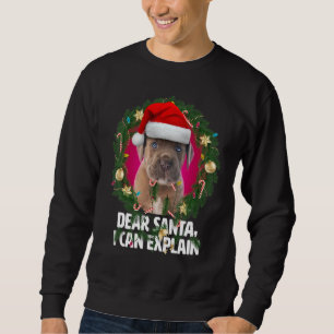Sweatshirt Cher Père Noël Mignon Chiots Cane Corso - Méchant