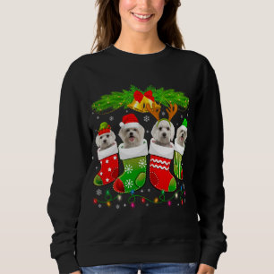 Sweatshirt Chien maltais mignon en choeur Noël Chien Père Noë