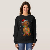 Sweatshirt Chiens de Dachshund Arbre Noël Chandails Noël Pour (Devant entier)