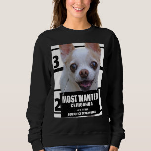 Sweatshirt Chihuahua mignon Chiwawa Chig Tee B