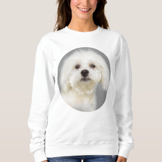 Sweatshirt Chiot blanc maltais (Devant)
