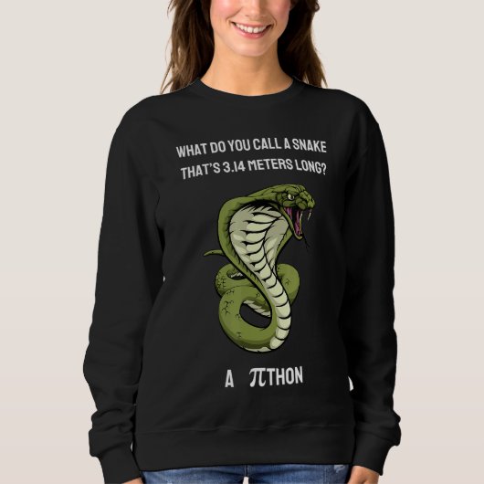 Sweatshirt Comment Appelez-Vous Un Serpent Thatu2019s 3 14 Mè (Devant)