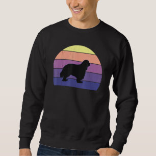 Sweatshirt Cool Retro Sunset Fun Cavalier King Charles Spanie